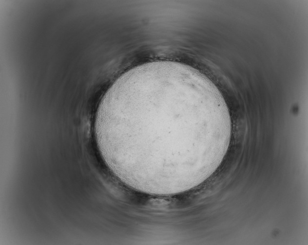 X0000100400703200807032014