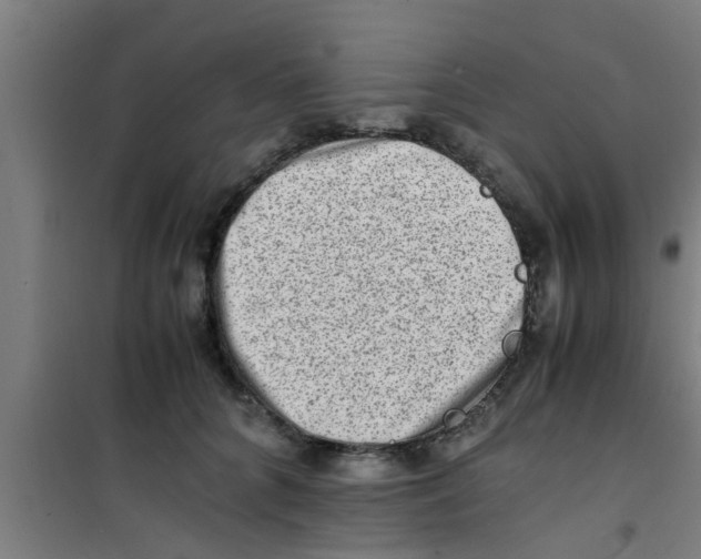 X0000100400704200807032014