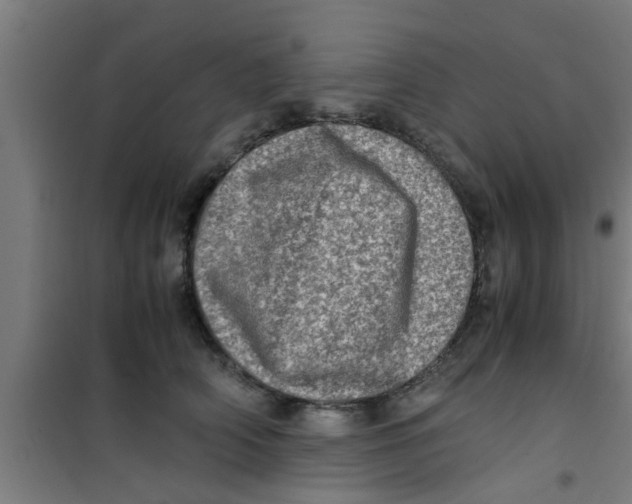 X0000100400706200807032014