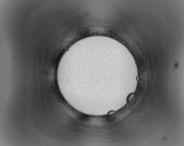 X0000100400708200807032014