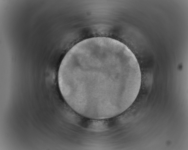 X0000100400709200807032014