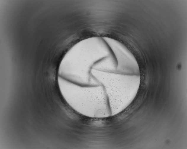 X0000100400710200807032014