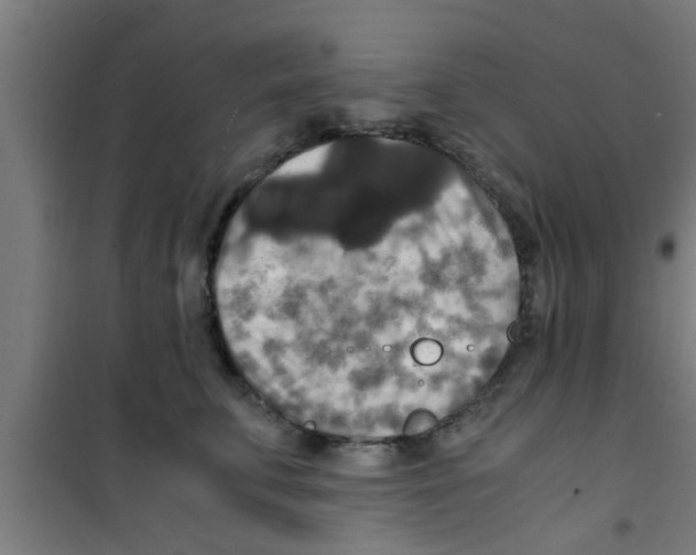 X0000100400711200807032014