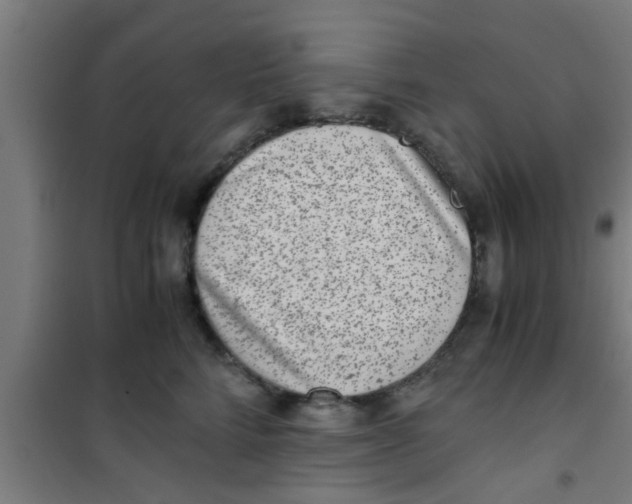 X0000100400712200807032014