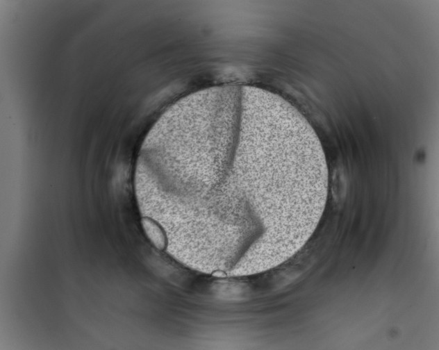 X0000100400714200807032014