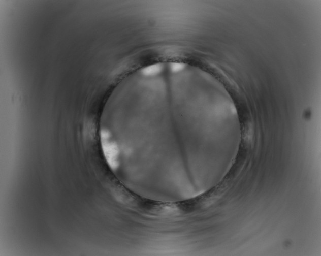 X0000100400715200807032014