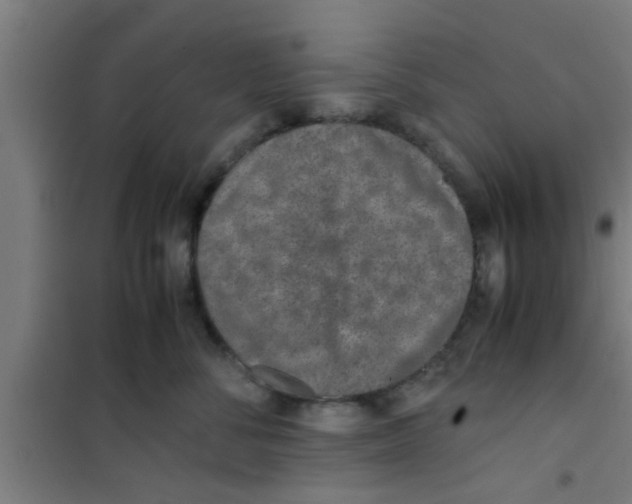 X0000100400716200807032014