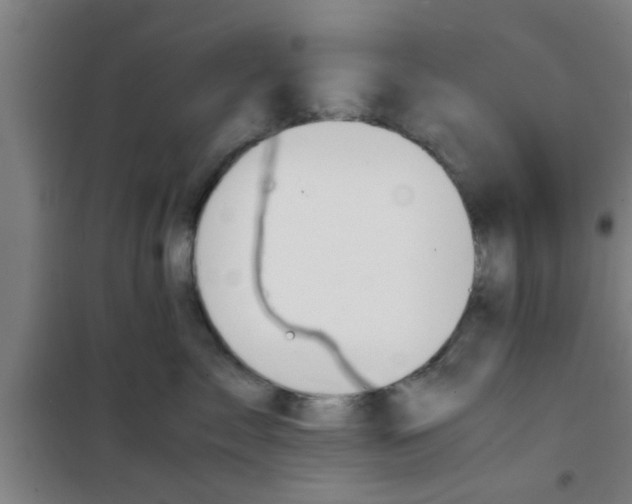 X0000100400717200807032014