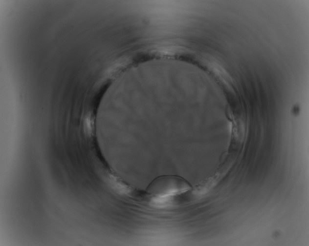 X0000100400718200807032014