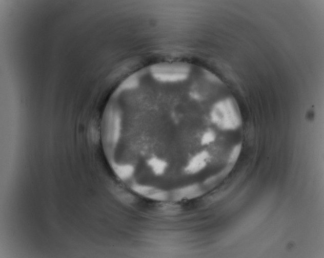 X0000100400719200807032014