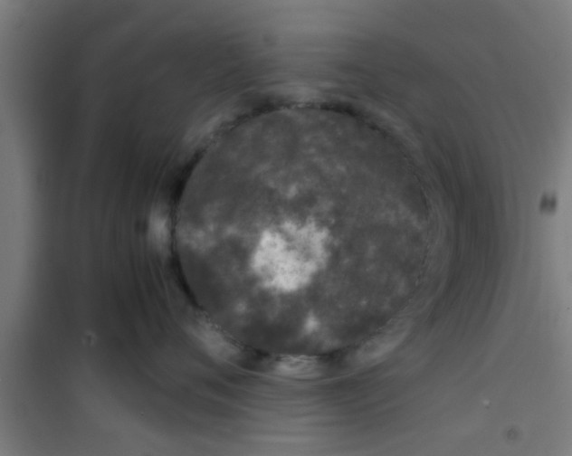 X0000100400720200807032014