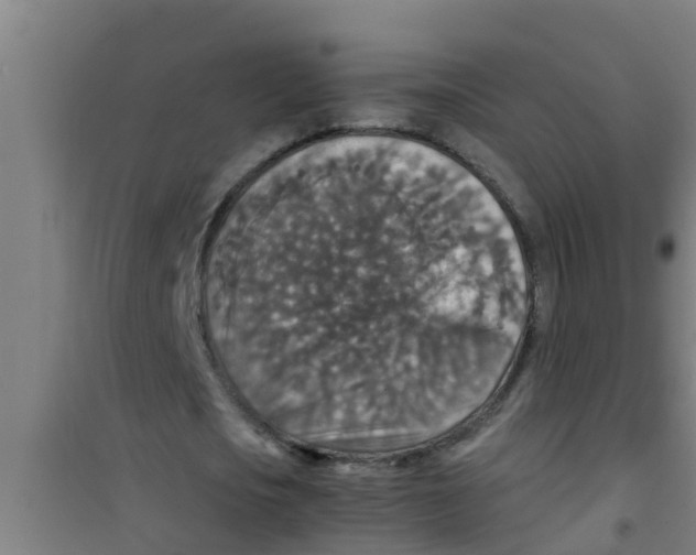 X0000100400721200807032013