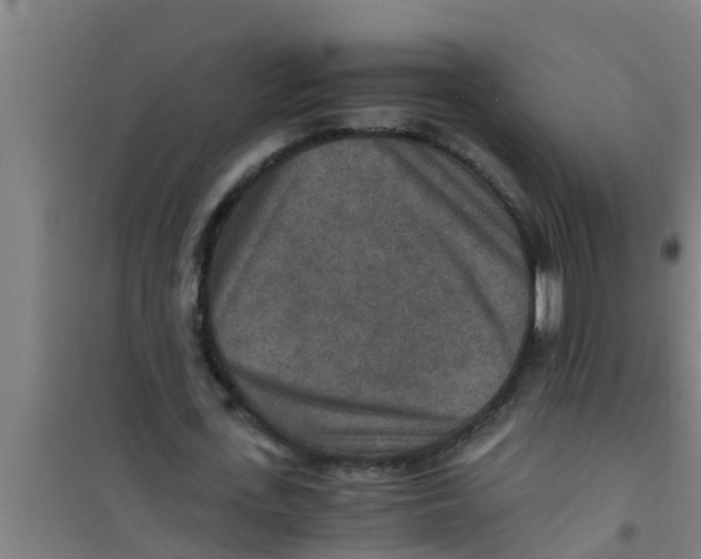 X0000100400723200807032013