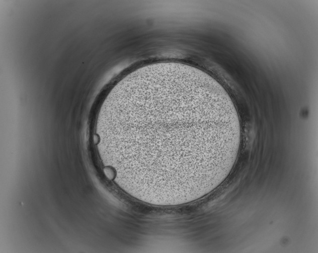 X0000100400726200807032013