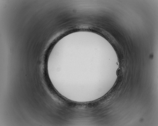 X0000100400728200807032013