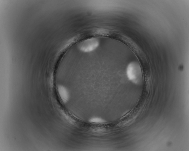 X0000100400729200807032013