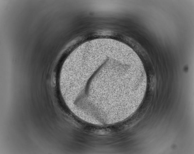 X0000100400731200807032013