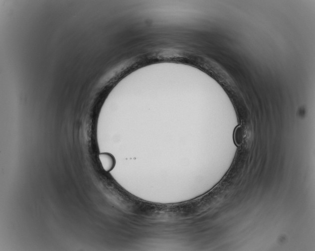X0000100400732200807032013