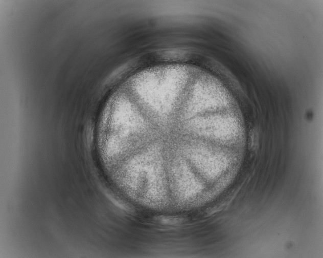 X0000100400733200807032013