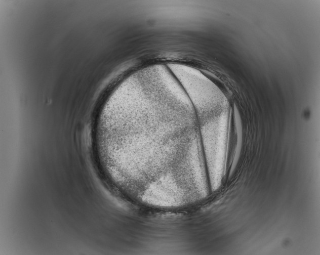 X0000100400734200807032013