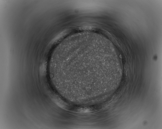X0000100400735200807032013