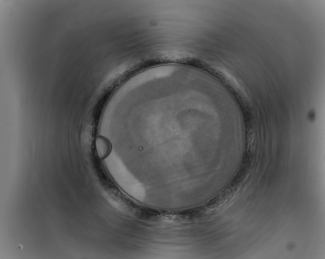 X0000100400736200807032013