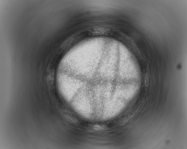 X0000100400737200807032013