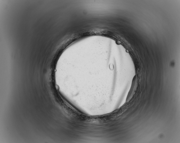 X0000100400738200807032013