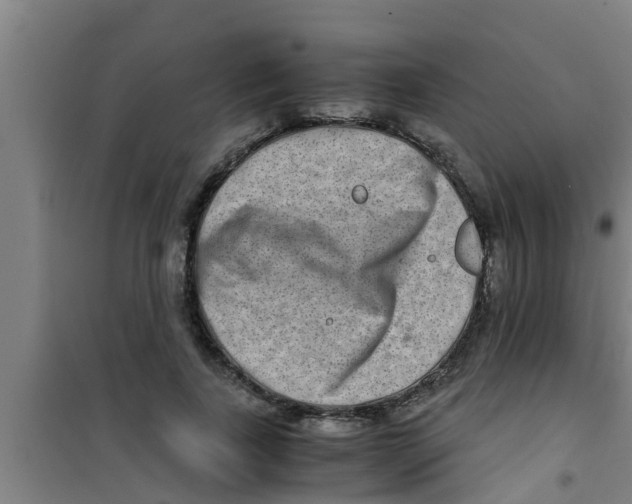 X0000100400739200807032013