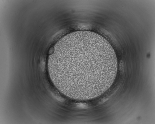 X0000100400741200807032013