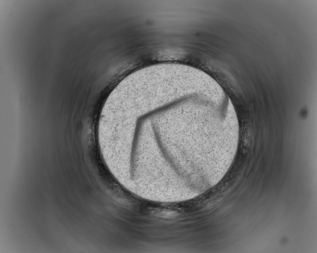 X0000100400743200807032013