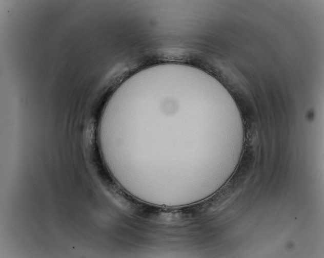 X0000100400744200807032013