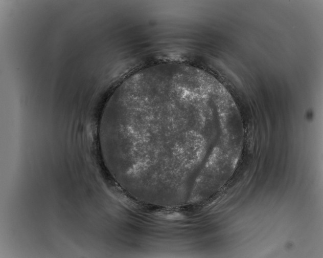 X0000100400747200807032013