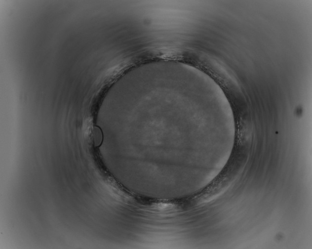 X0000100400748200807032013