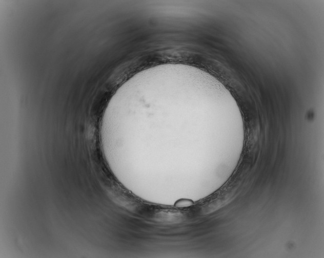 X0000100400749200807032013