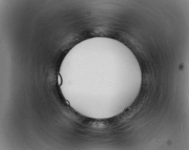 X0000100400751200807032013