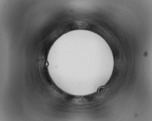 X0000100400752200807032013
