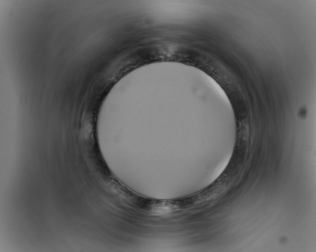 X0000100400754200807032013