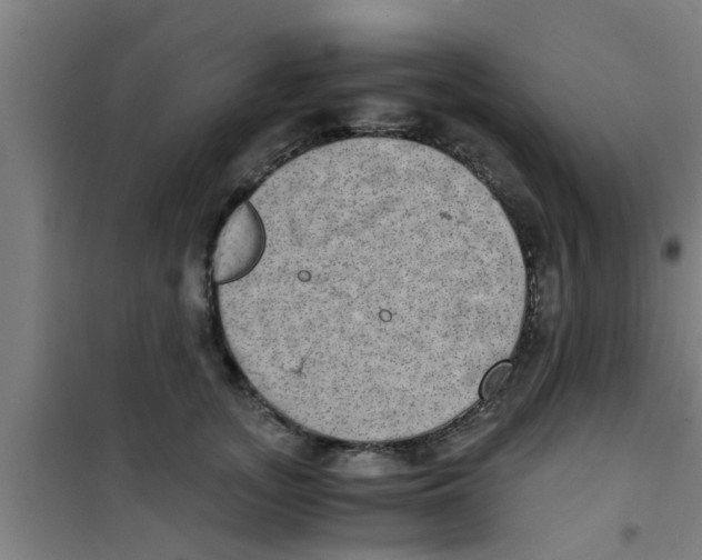 X0000100400755200807032013