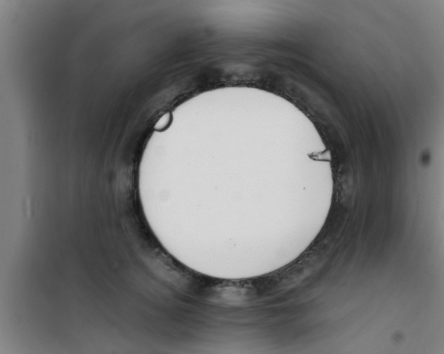 X0000100400756200807032013