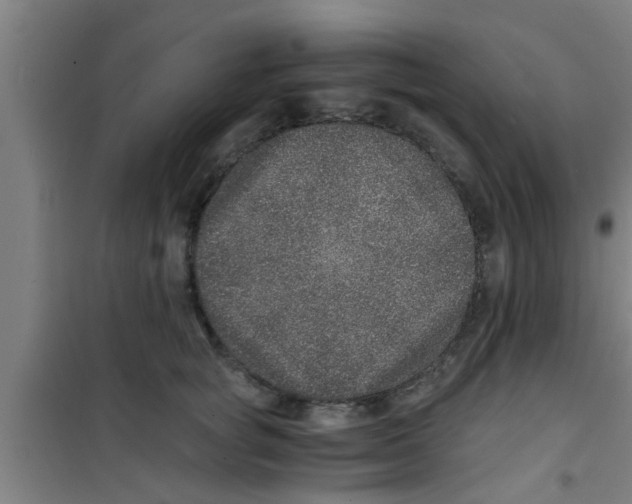 X0000100400757200807032013