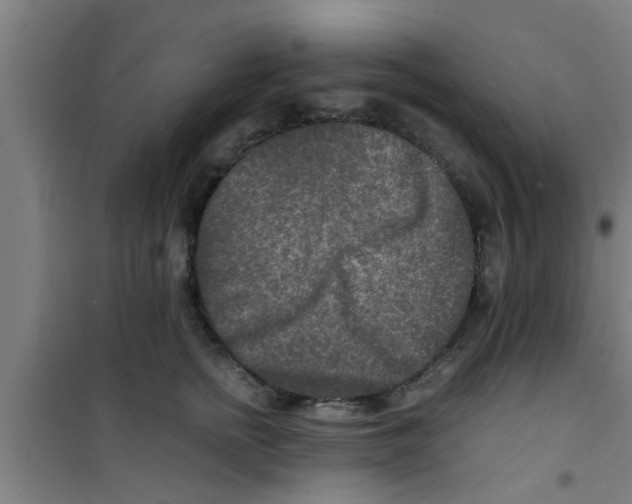 X0000100400758200807032013