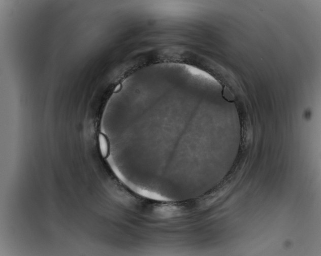 X0000100400759200807032013