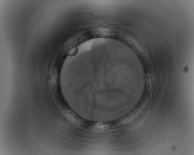 X0000100400760200807032013