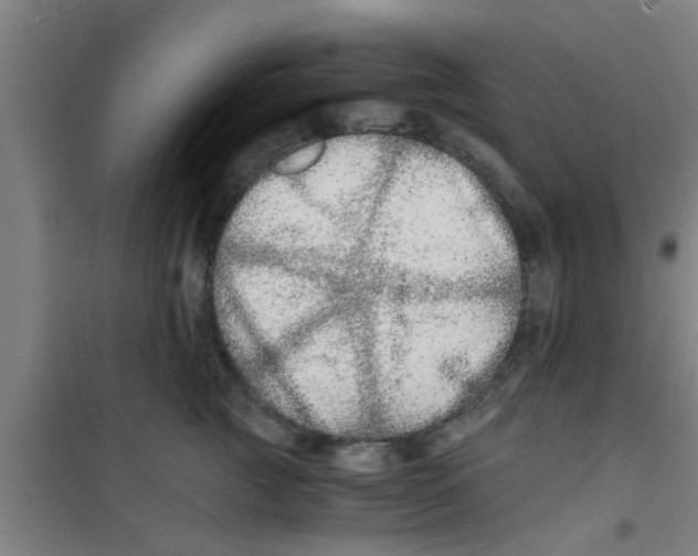 X0000100400761200807032013