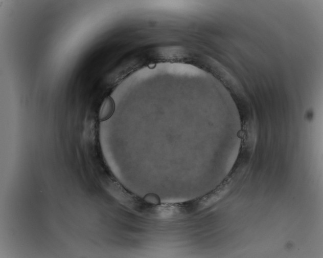 X0000100400762200807032013