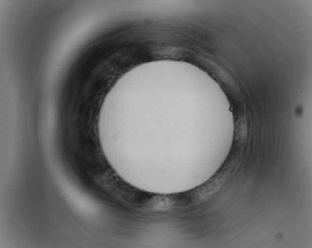 X0000100400764200807032013