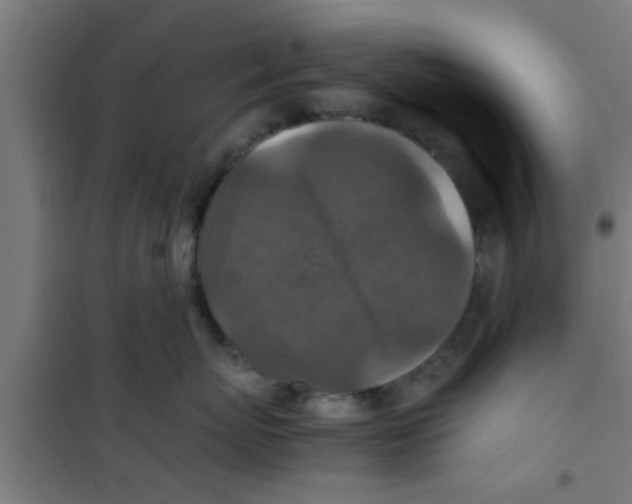 X0000100400767200807032013