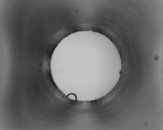 X0000100400768200807032013