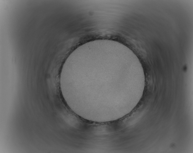 X0000100400769200807032013